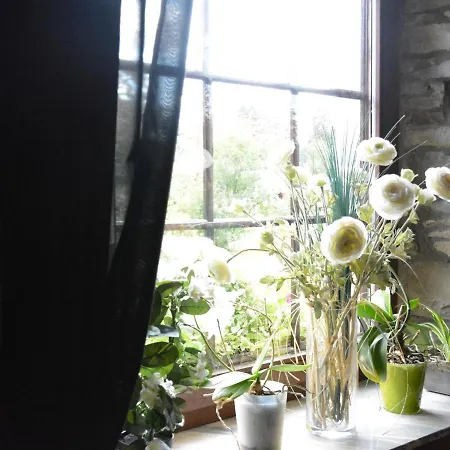 Chic With Garden 펜션 *