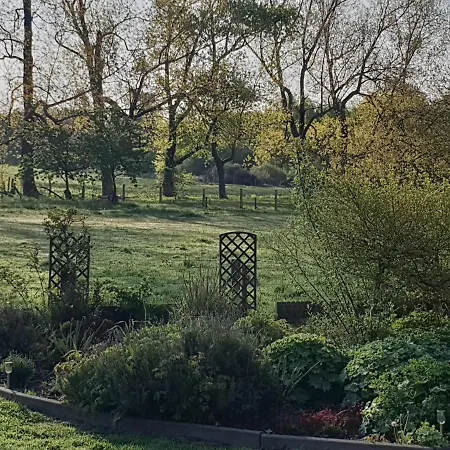 Chic With Garden *