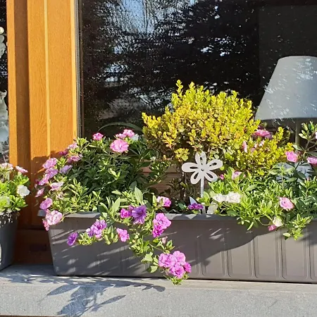 Chic With Garden Vaux-sur-Sure