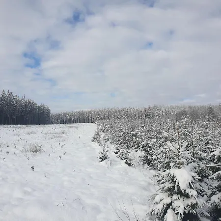 Chic With Garden * Vaux-sur-Sure