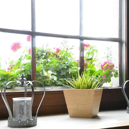 Chic With Garden Vaux-sur-Sure