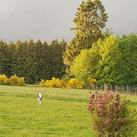 Chic With Garden 펜션