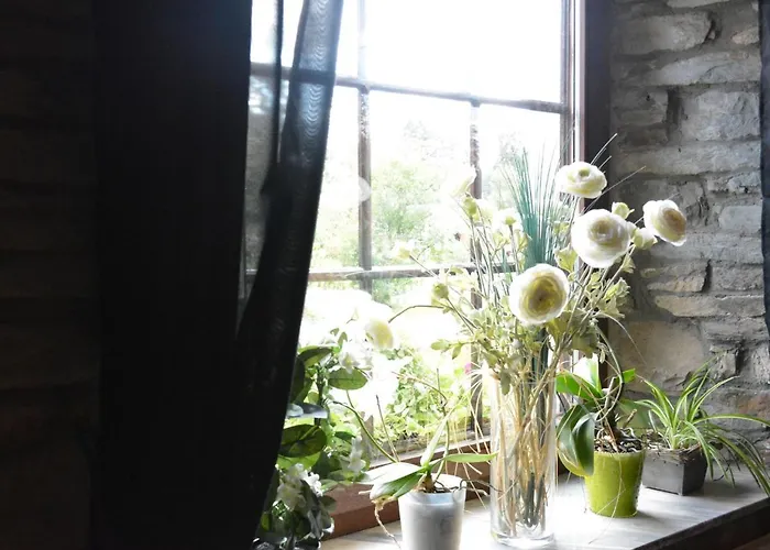 Chic With Garden Ferienhaus *