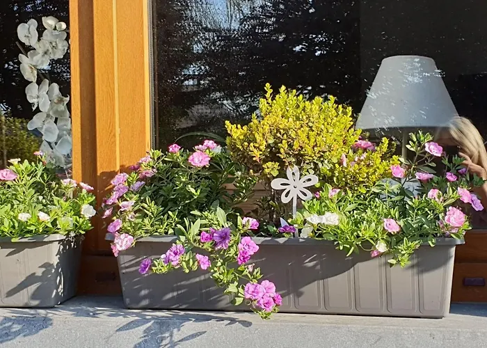 Chic With Garden Vaux-sur-Sure