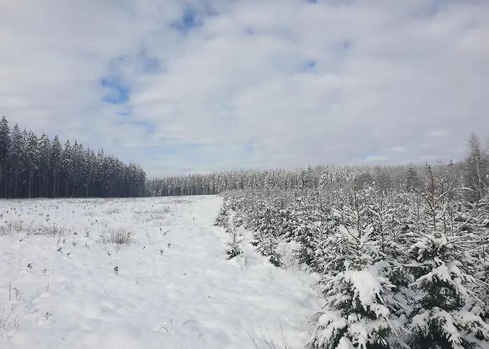 Chic With Garden * Vaux-sur-Sure