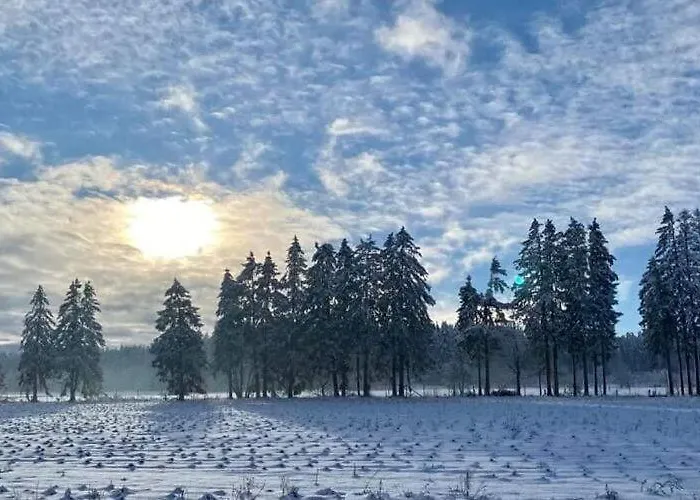 Chic With Garden Prázdninový dům Vaux-sur-Sure