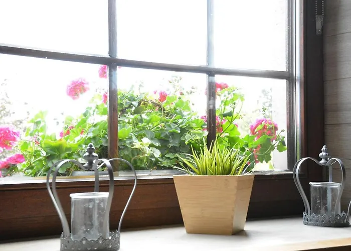 Chic With Garden Vaux-sur-Sure