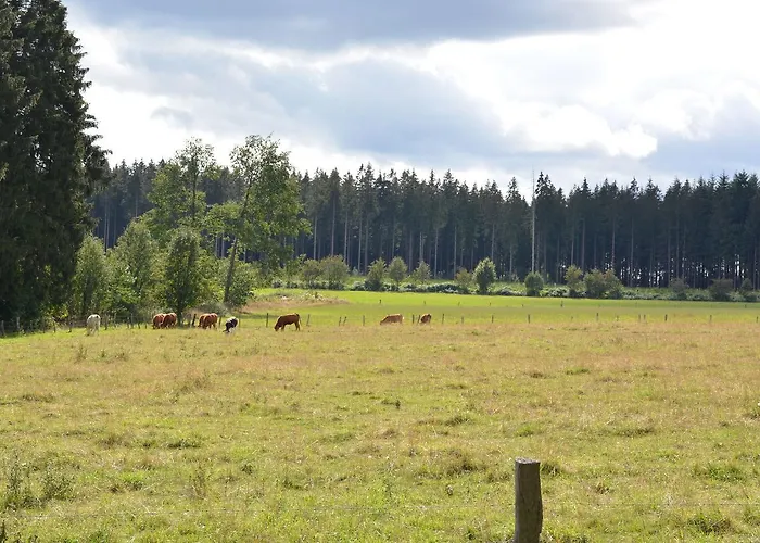 Ferienhaus Chic With Garden