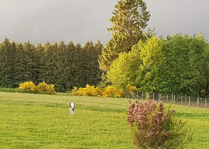 Chic With Garden Ferienhaus